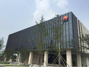 眾巨頭入駐襄陽云谷，金融外包服務繪就城市未來新藍圖